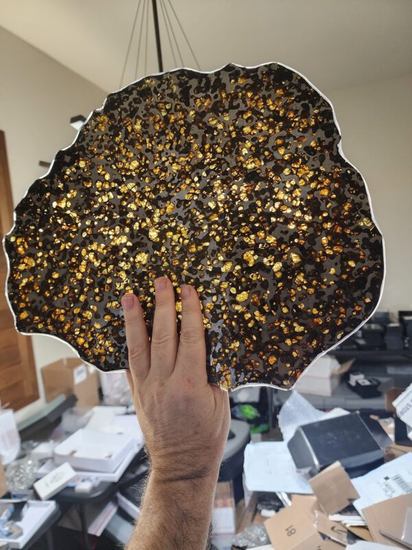 pallasite meteorite for sale