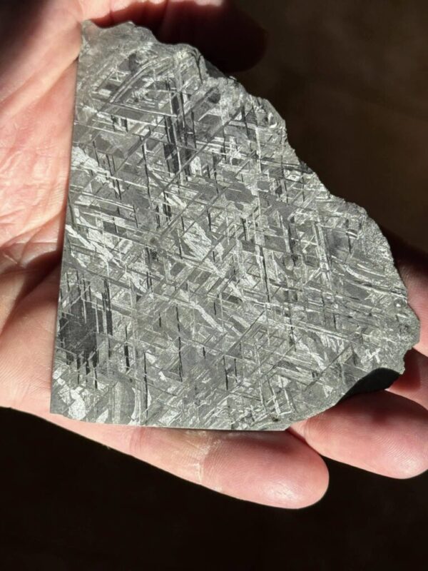 gibeon meteorite