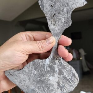 Gibeon Meteorite