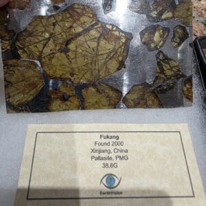 Fukang Pallasite Meteorite