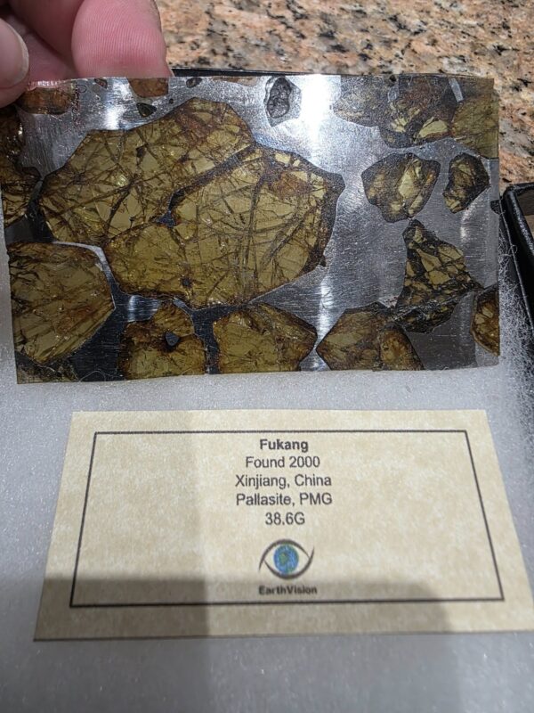 Fukang Pallasite Meteorite