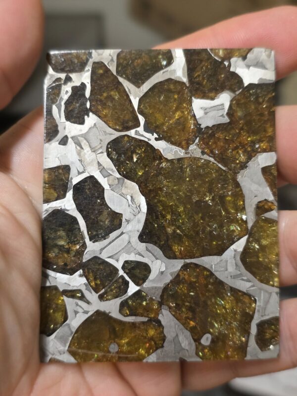 Fukang Pallasite