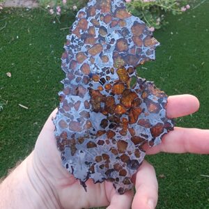 Imilac Pallasite Meteorite