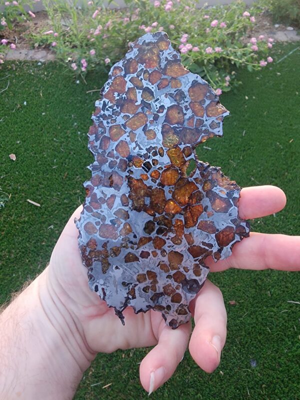 Imilac Pallasite Meteorite