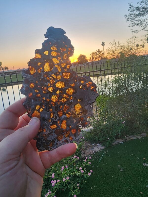 Imilac Meteorite