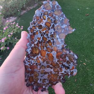 Imilac Meteorite Pallasite
