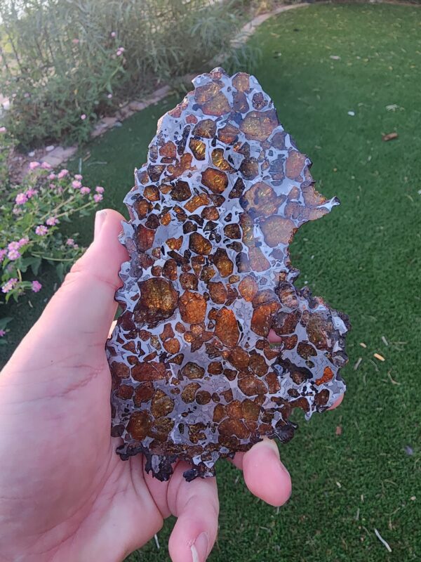 Imilac Meteorite Pallasite
