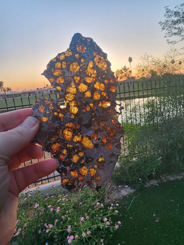 Imilac Pallasite