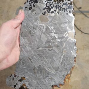 Seymchan Pallasite