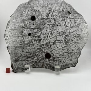Gibeon Meteorite Full Slice