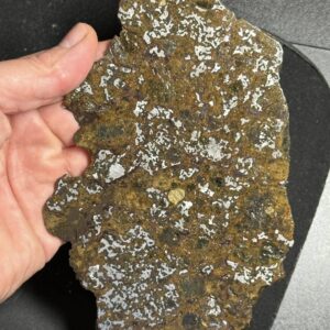 El Eglab Mesosiderite